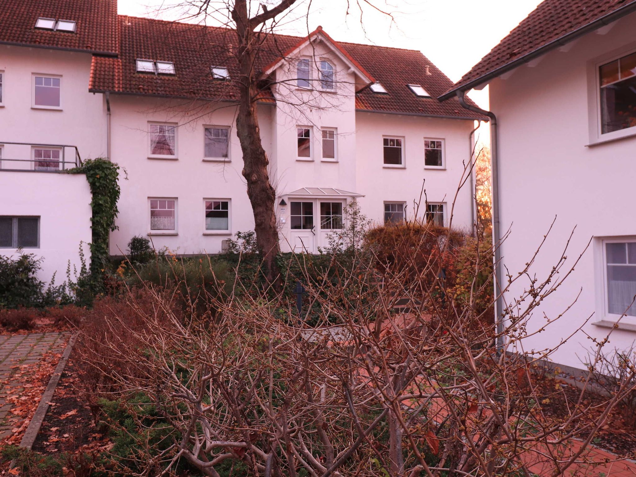 Die Villa Strandsonne von hinten