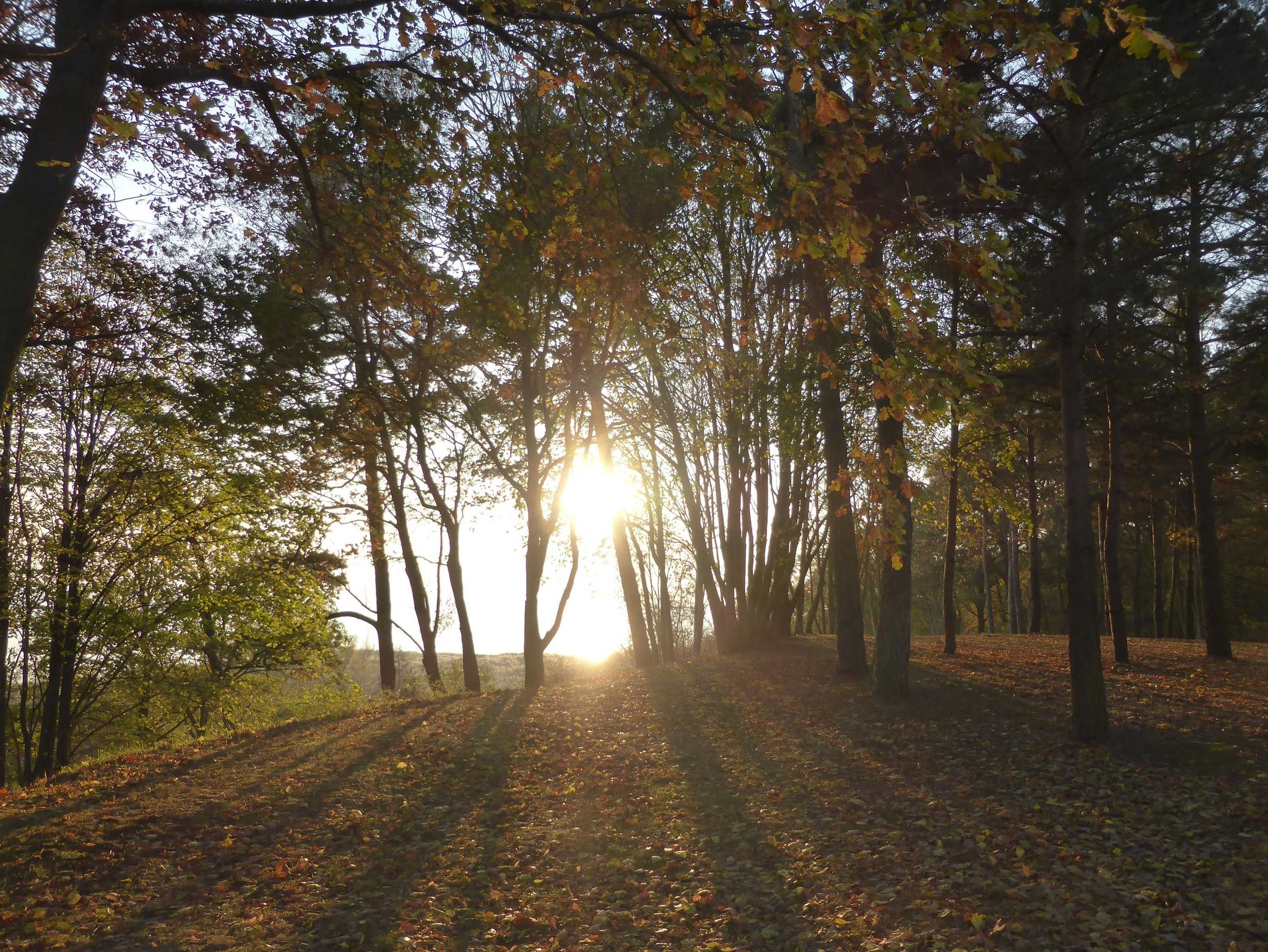 Wintergarten