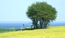 auf dem Wanderweg, wenige hundert Meter vom Haus