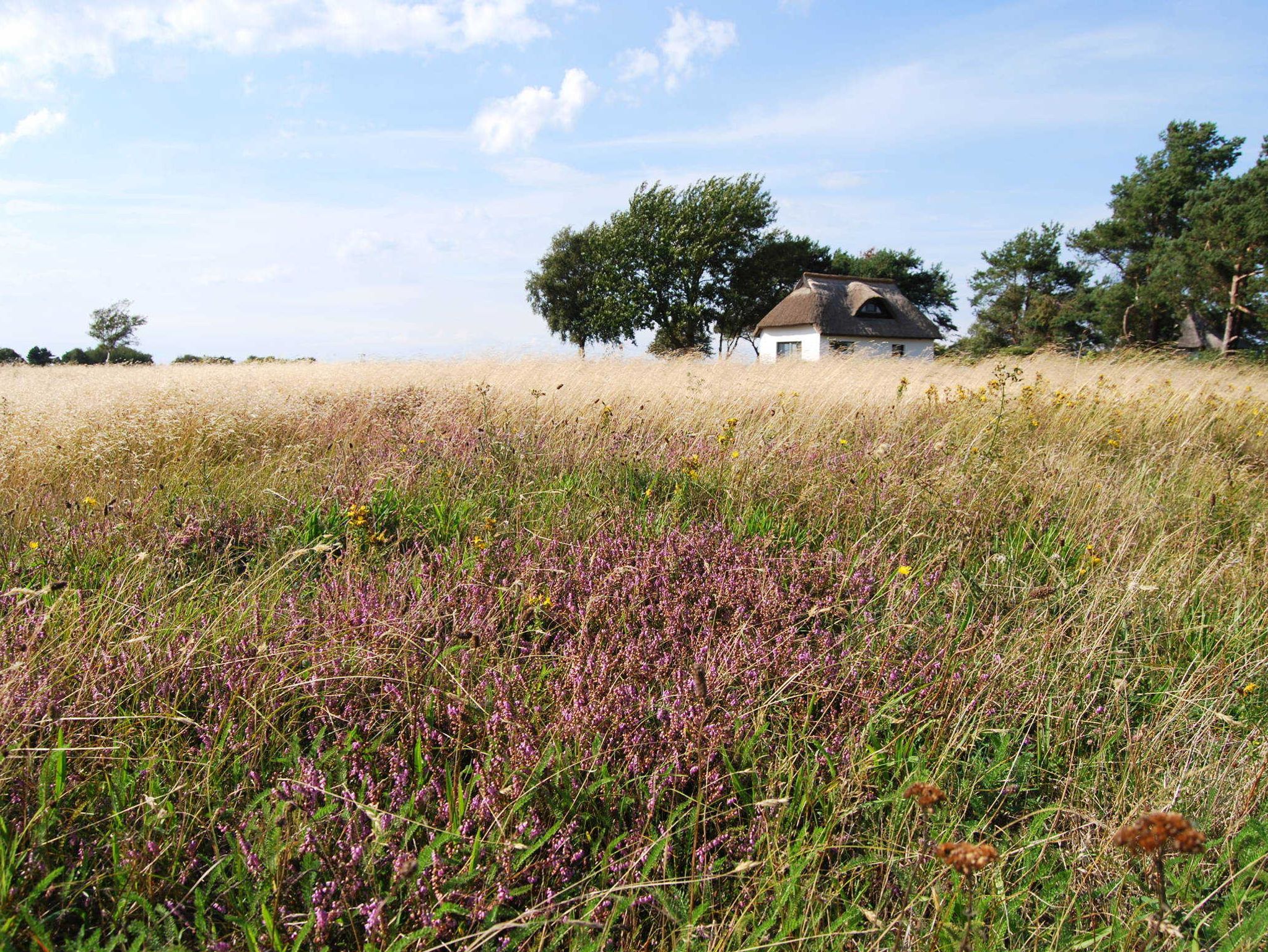 Ostsee