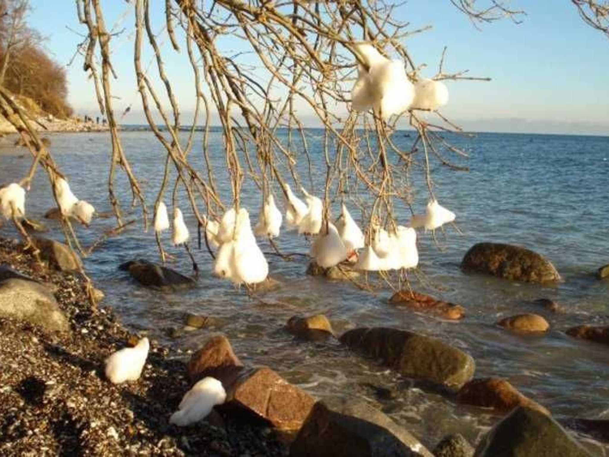 Ostsee im Winter