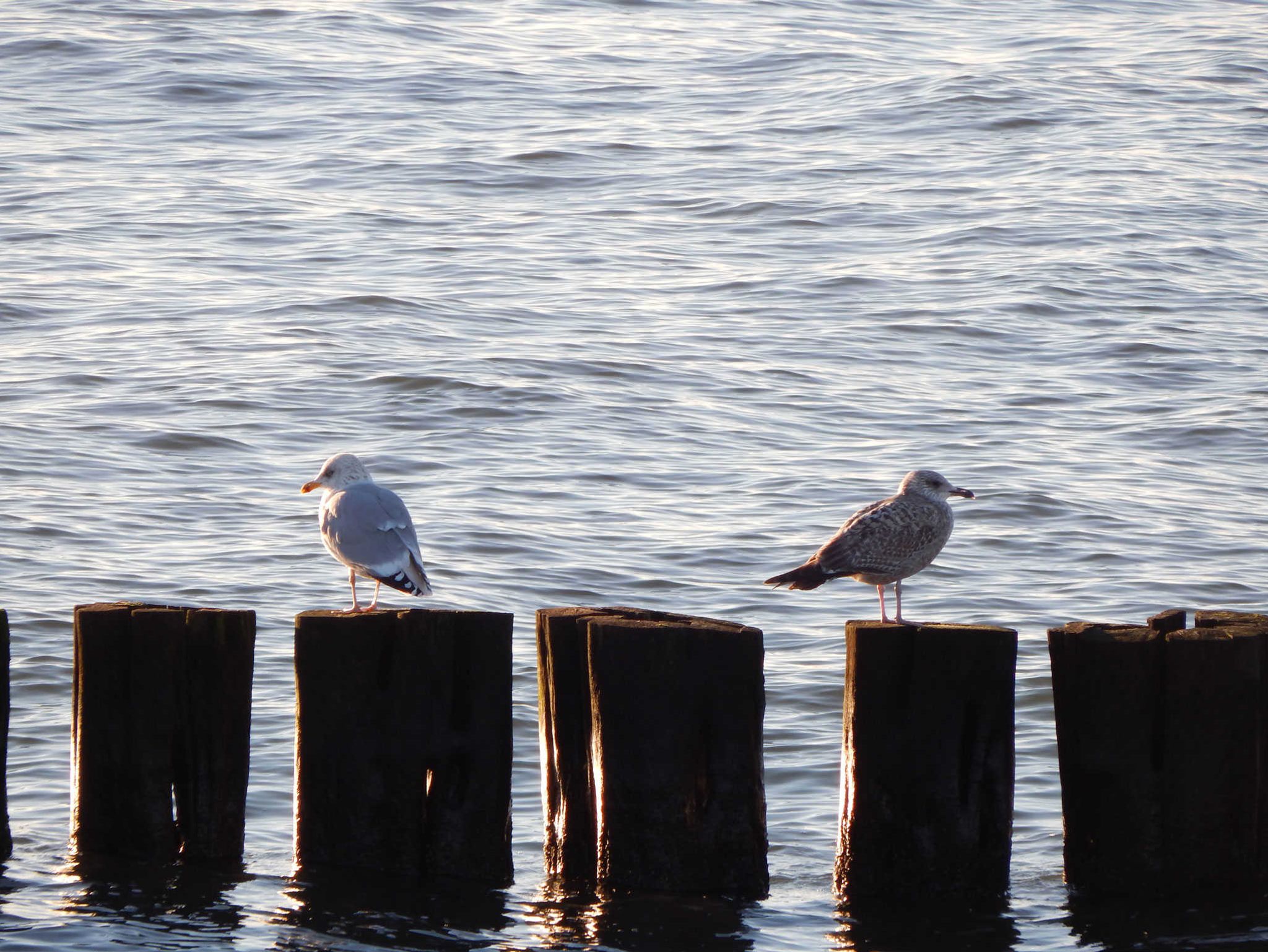 Der Strand von Karlshagen