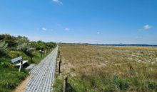 Strandbereich hinter den Finnhütten