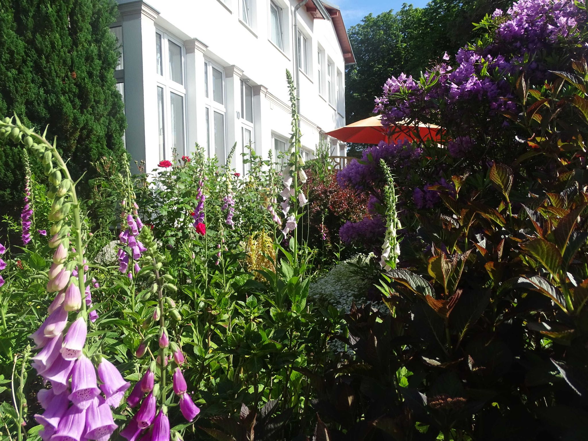 Sitzmöglichkeit im Garten