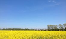 Wohnzimmer mit Zugang zum Balkon