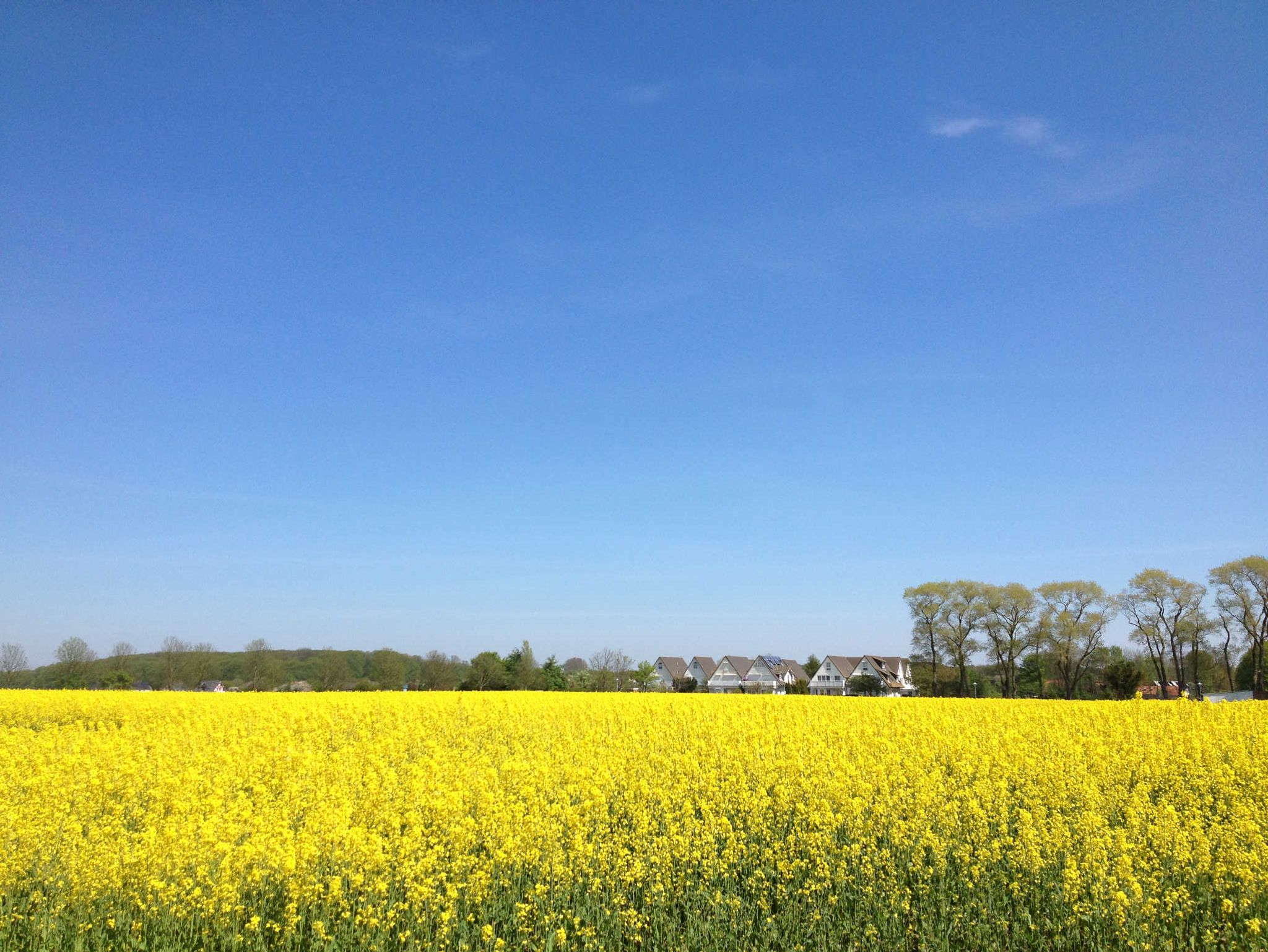 Wohnzimmer mit Zugang zum Balkon