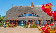 Blick auf das Ferienhaus