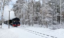 Die Außenanlage mit kleinen Bachläufen, Brücken und Sitzgelegenheiten