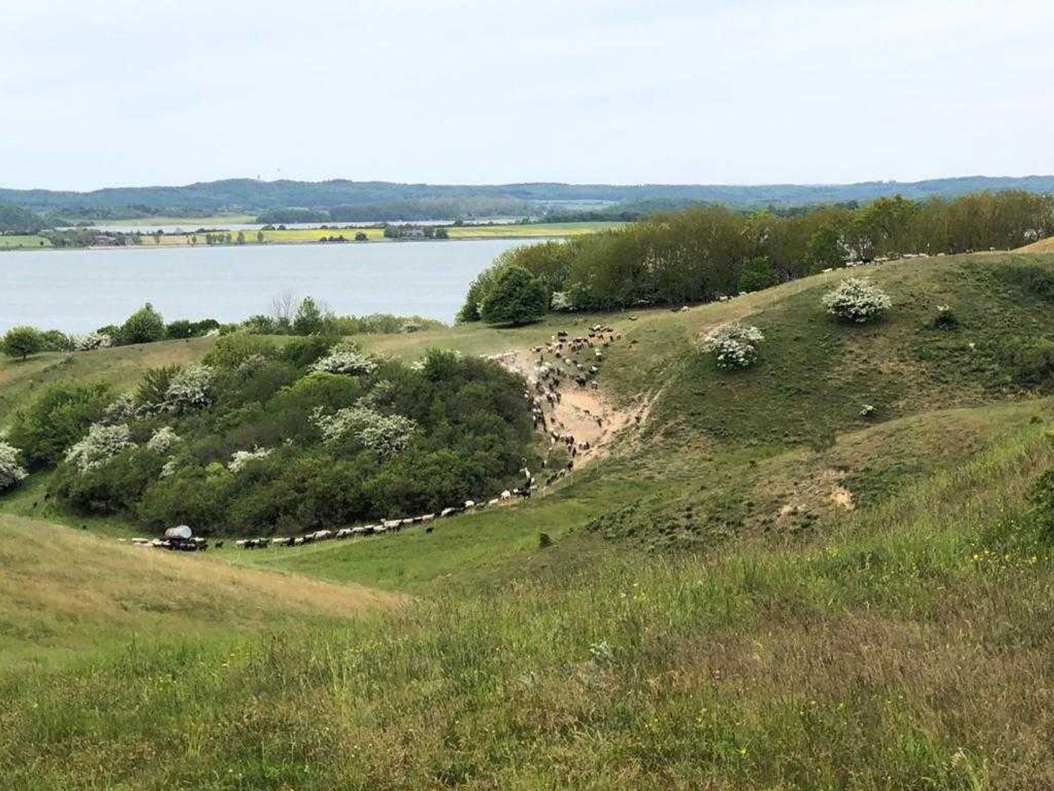 Düne mit Leuchtturm