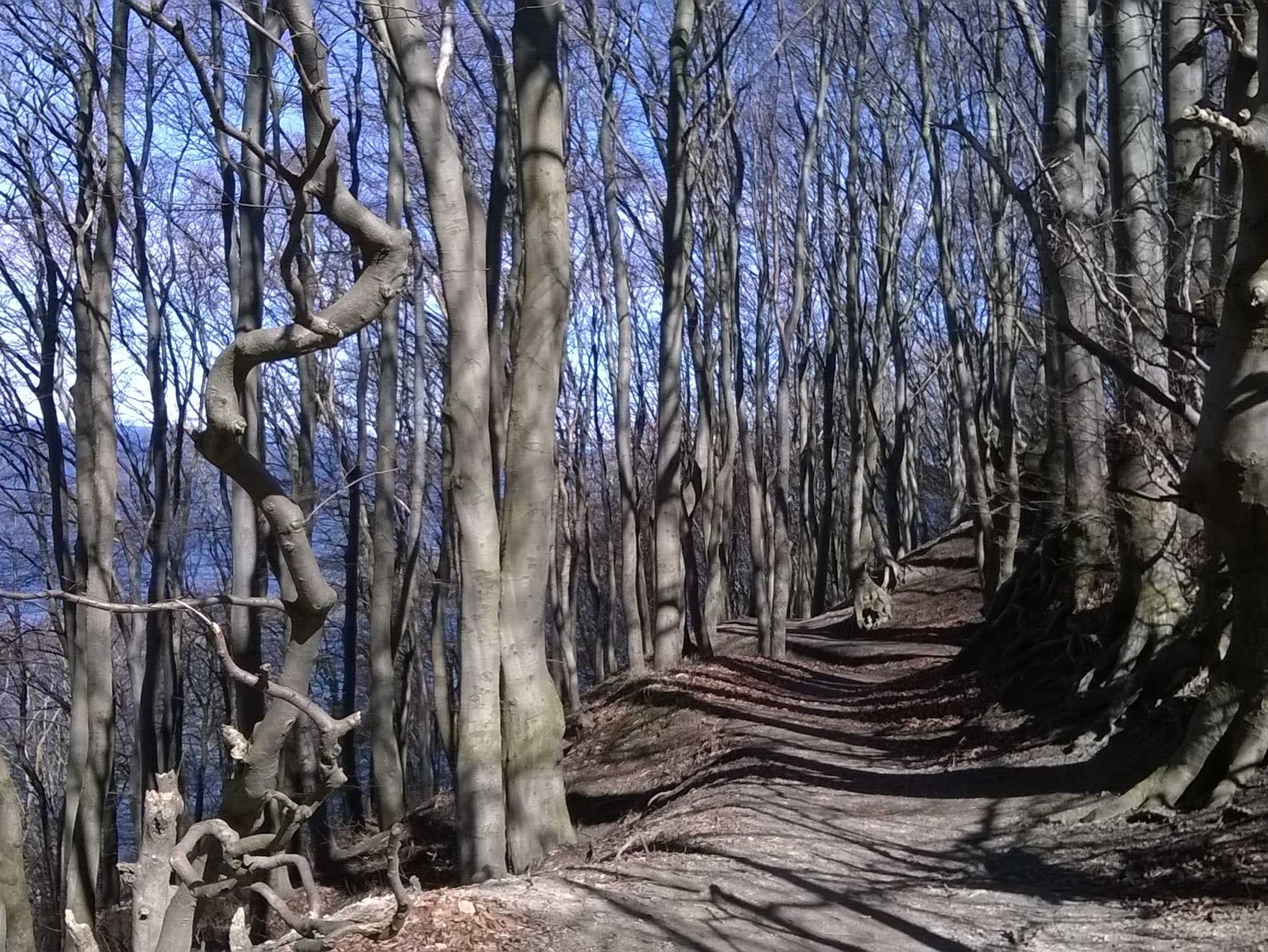 Die Außenansicht der Residenz Seestern