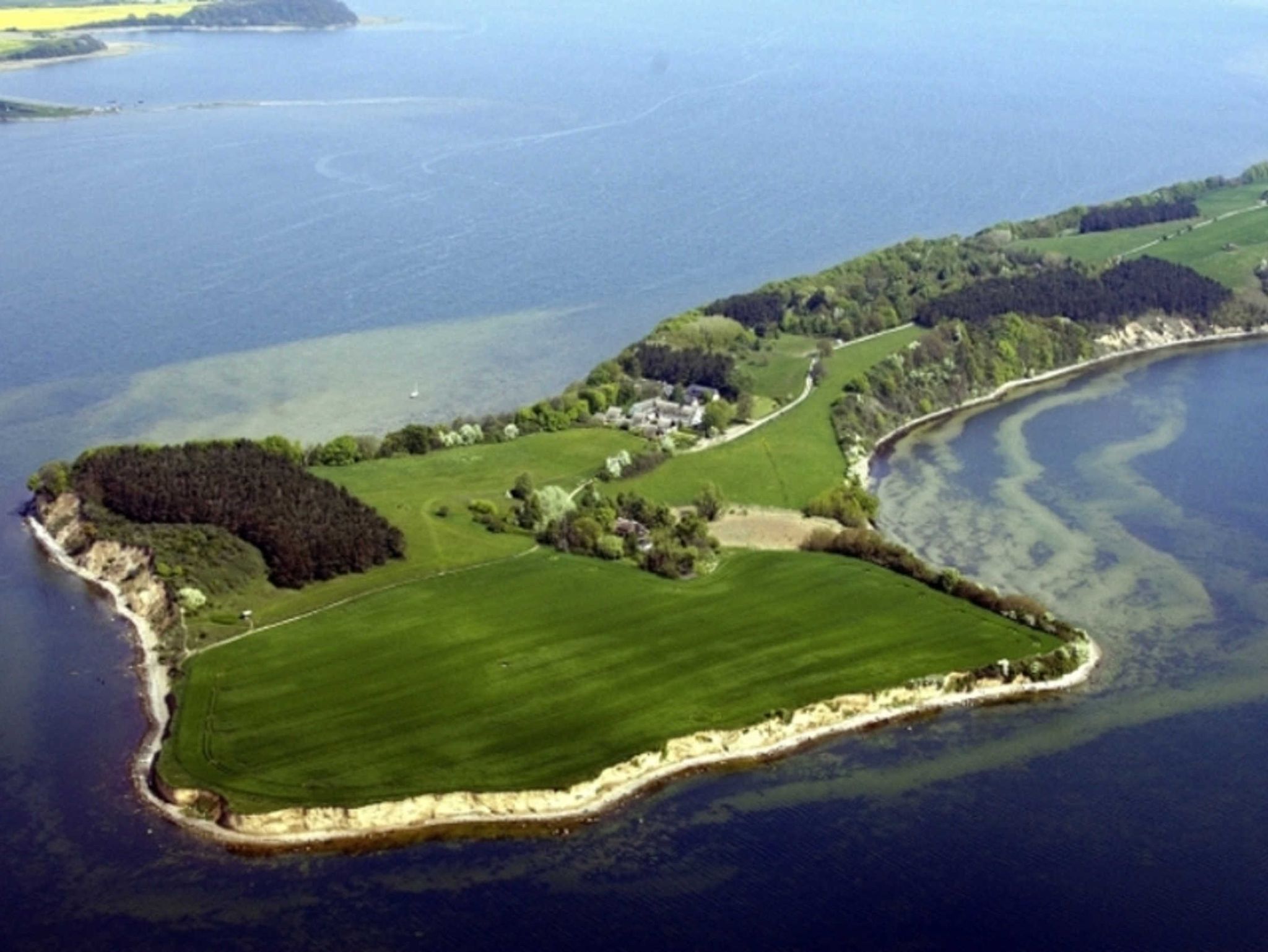 Stranddistel - Haus Gudrun