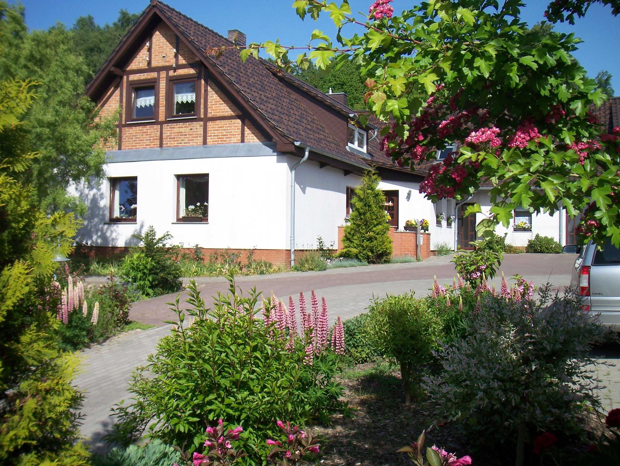 Terrasse mit Nachmittags- und Abendsonne