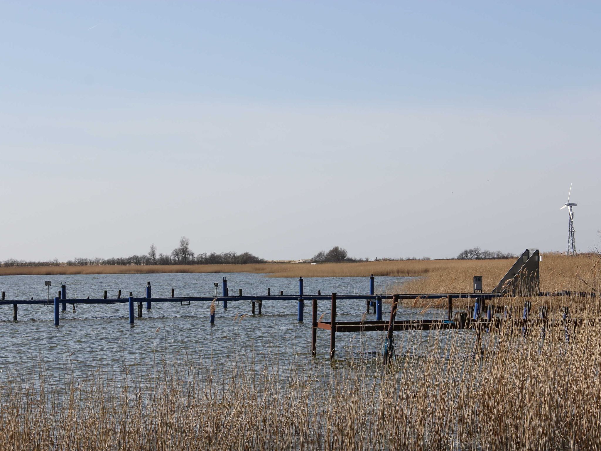 Ferienhof Altona, die Mitbewohnerin Susie