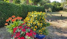 Rosengarten mit Springbrunnen