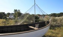 Die Anlage Dünengarten direkt am Meer