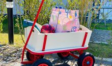 mit Bollerwagen an den Strand