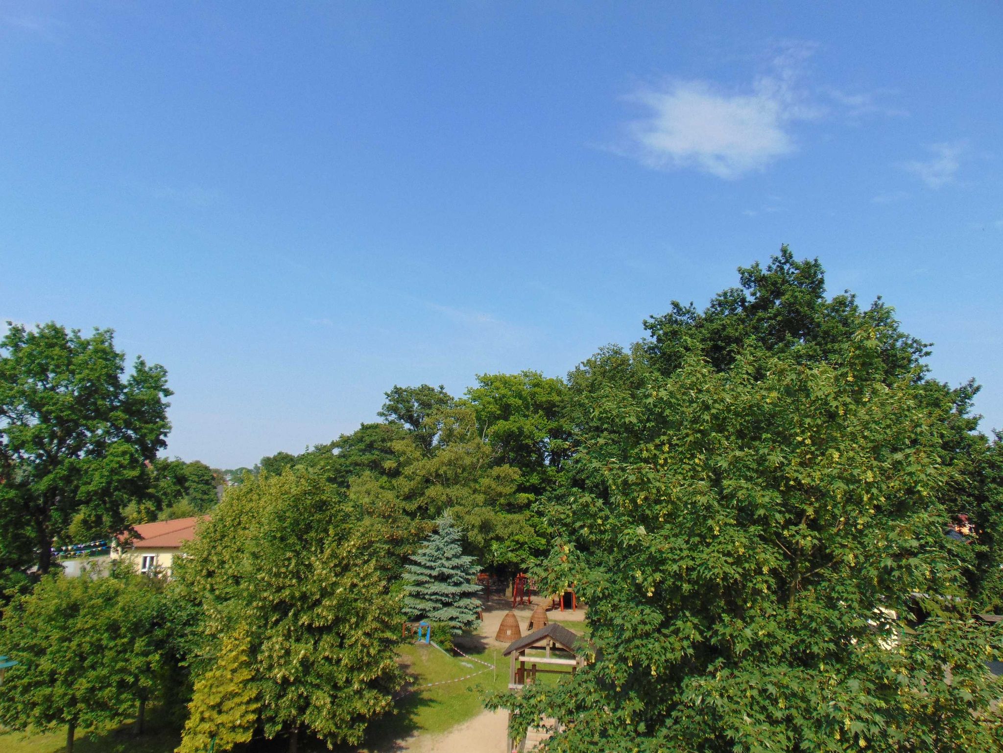 Der Wohn-/Schlafbereich mit einem Schrankbett und dem Zugang zum Südbalkon