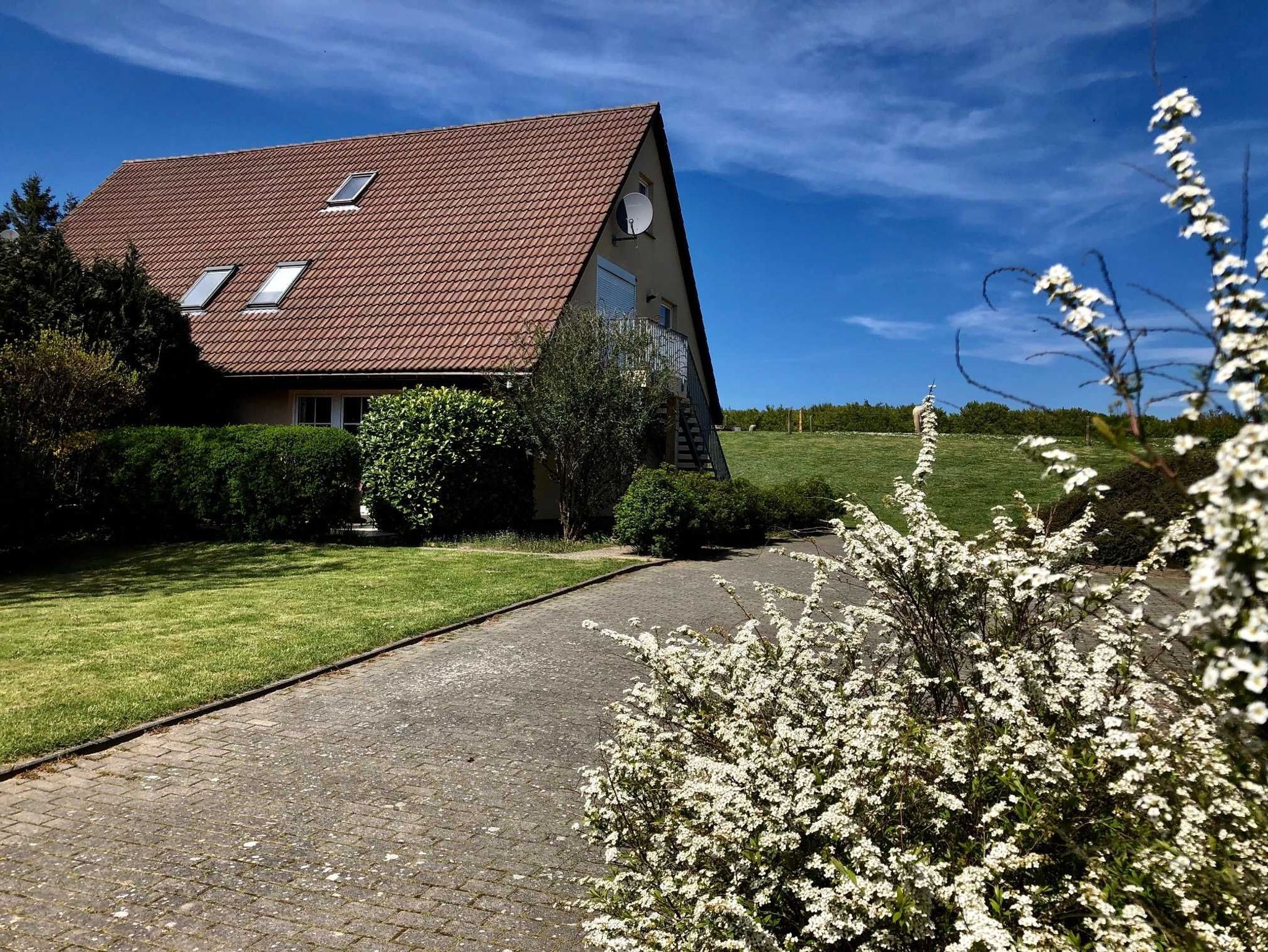 Helles Wohn- und Esszimmer mit kilometerweiter Wasserblick, keinerlei Einsicht in die Wohnung