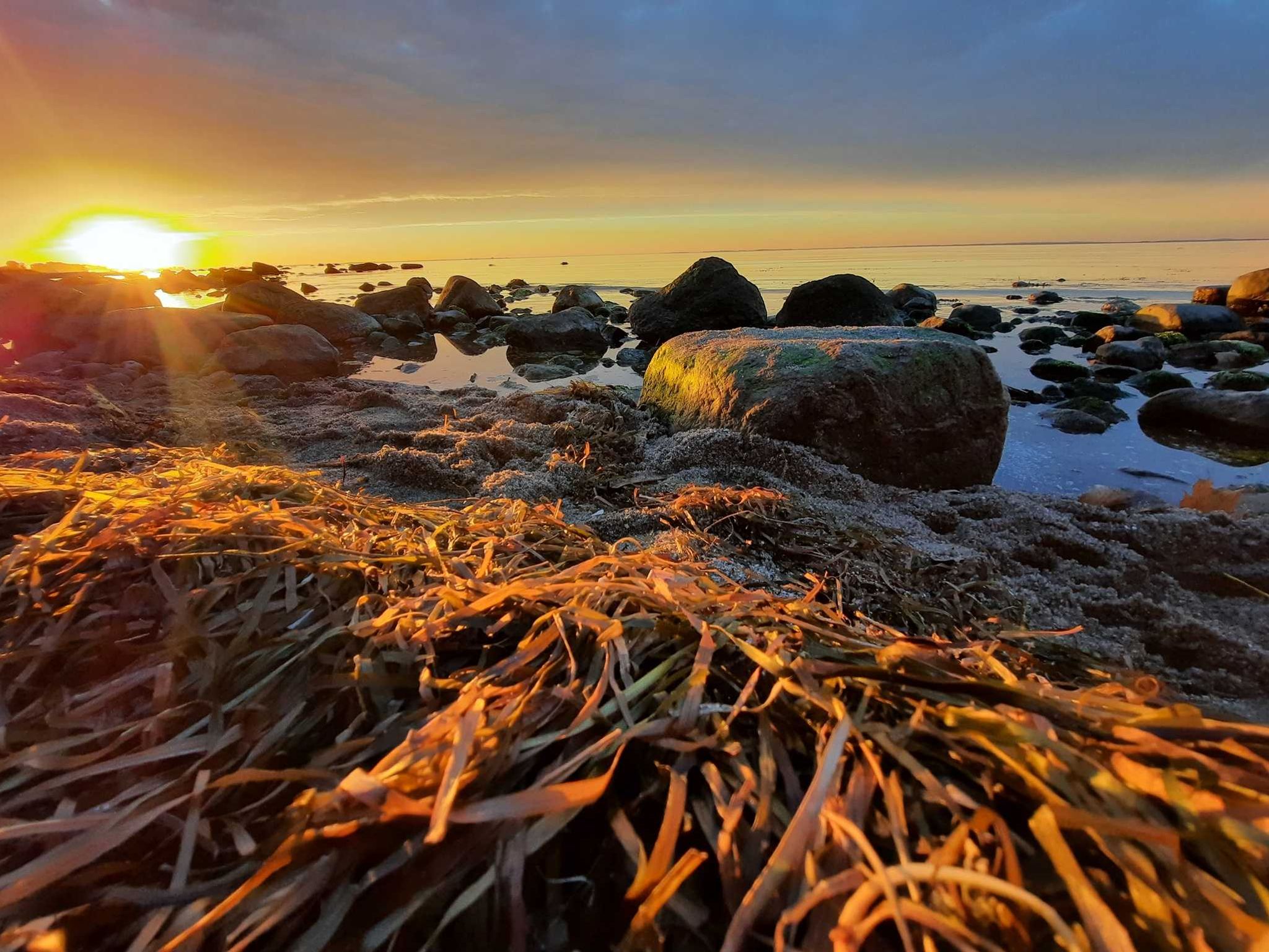 strandnahe FeWo Königin Augusta 12 in Binz, (ID 812)