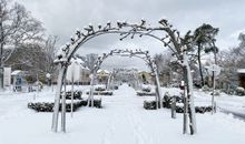 Ostseestrand, Toplage nur 300m zum Strand