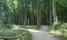 Strand mit Promenade