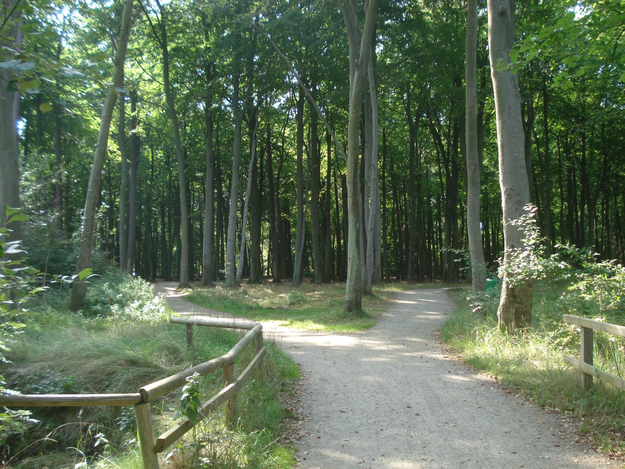 Strand mit Promenade