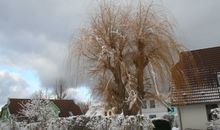 Wohnbereich mit Balkon