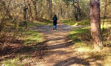 Waldweg am Strand