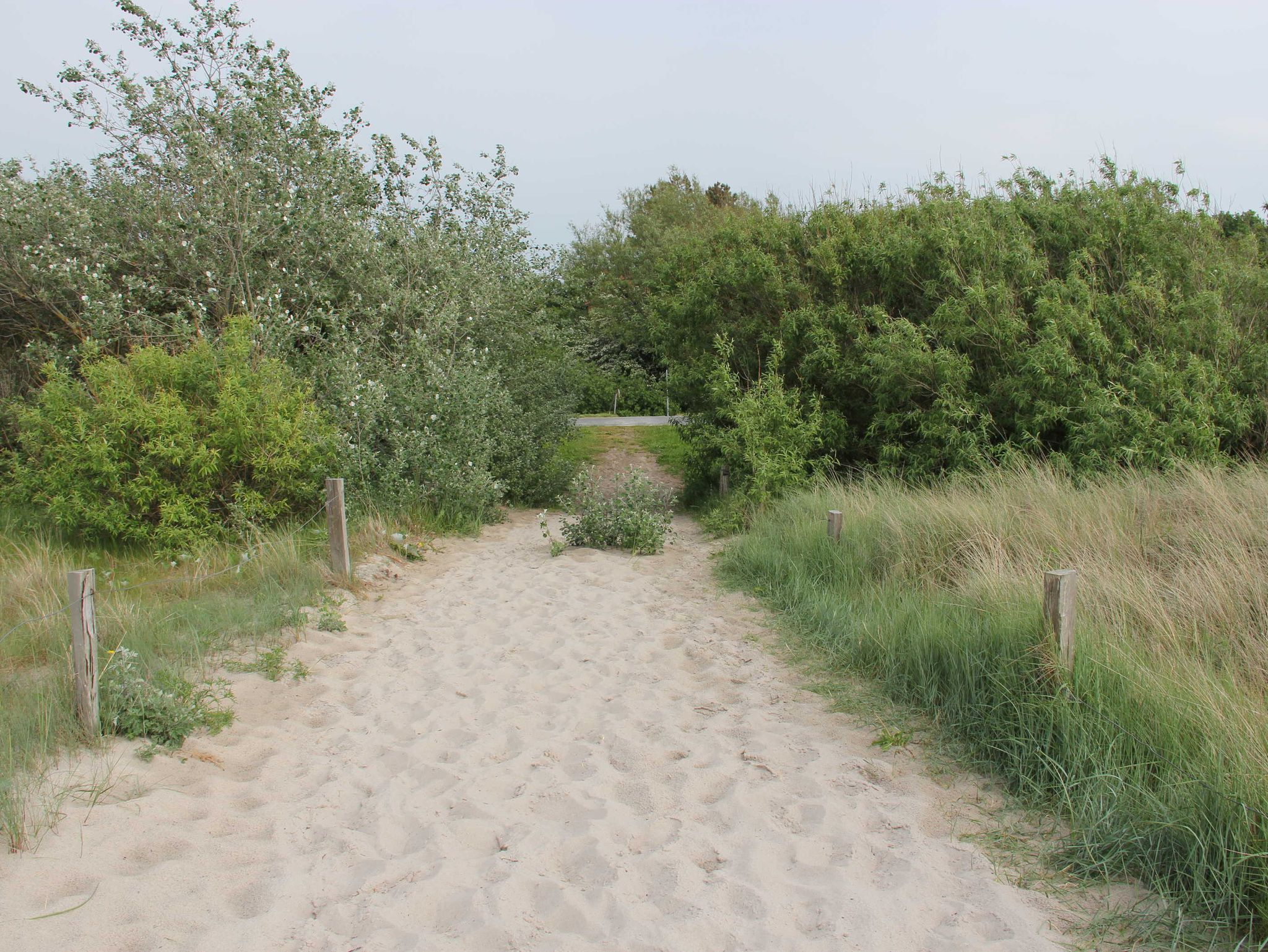 Ferienappartement am Küstenwald