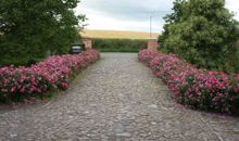 ! NEU ! Ferienhaus Binz