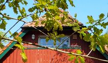 Dachgeschoßwohnung mit Blick in den Darßwald