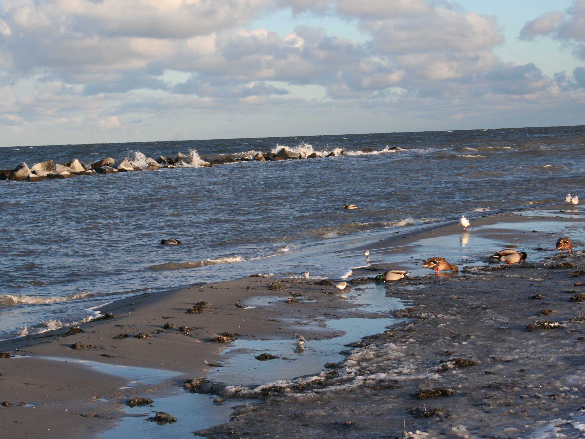 Promenade von Nienhagen