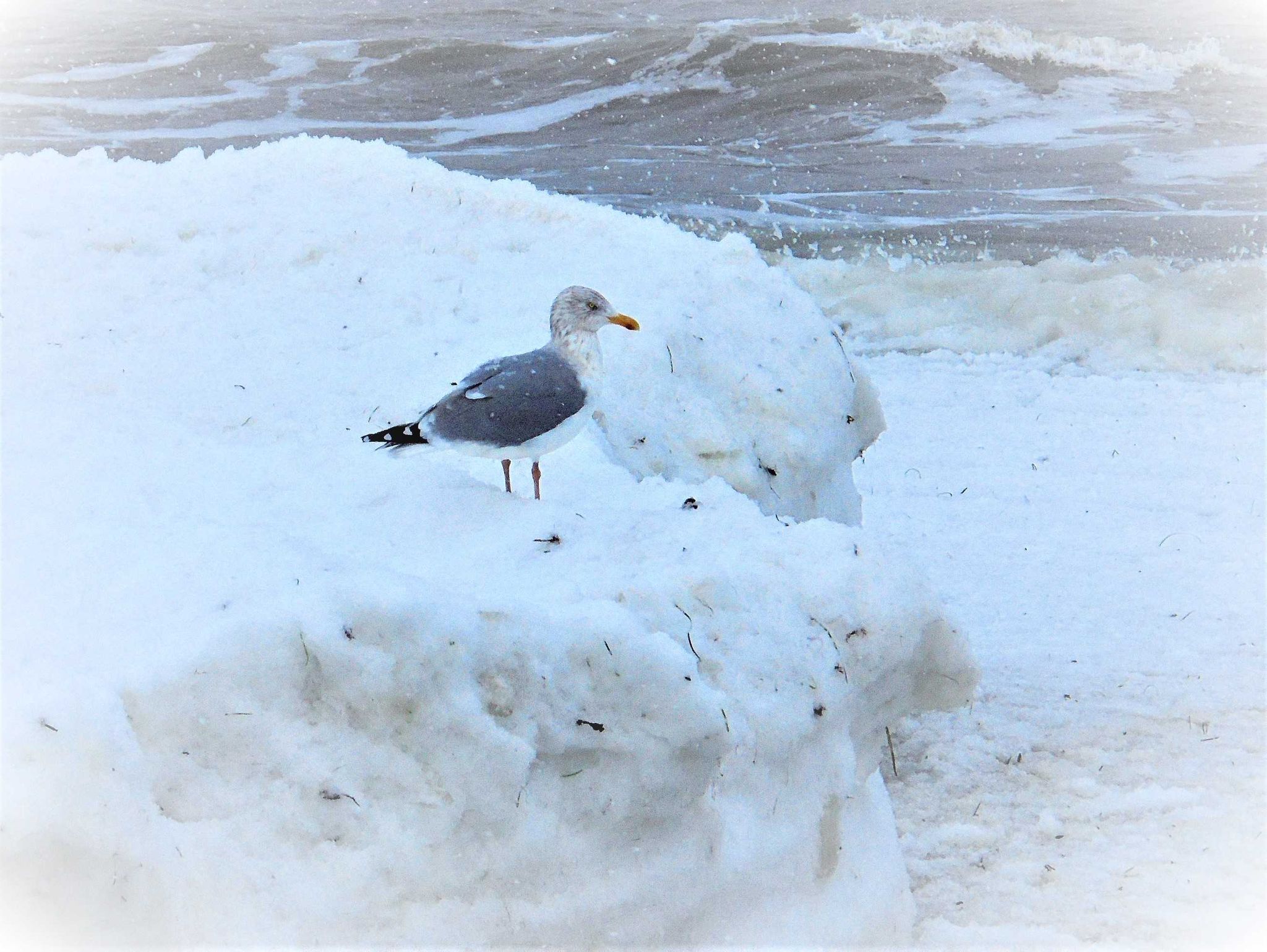 Blick auf das Haff