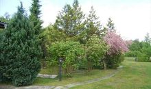 Bungalow im eingewachsenen Garten mit Blick zur Einfahrt des Grundstücks