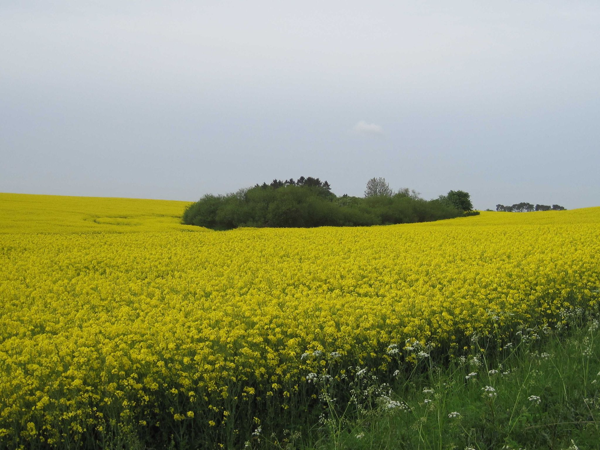 Diplomatenweg 1 - Hausansicht