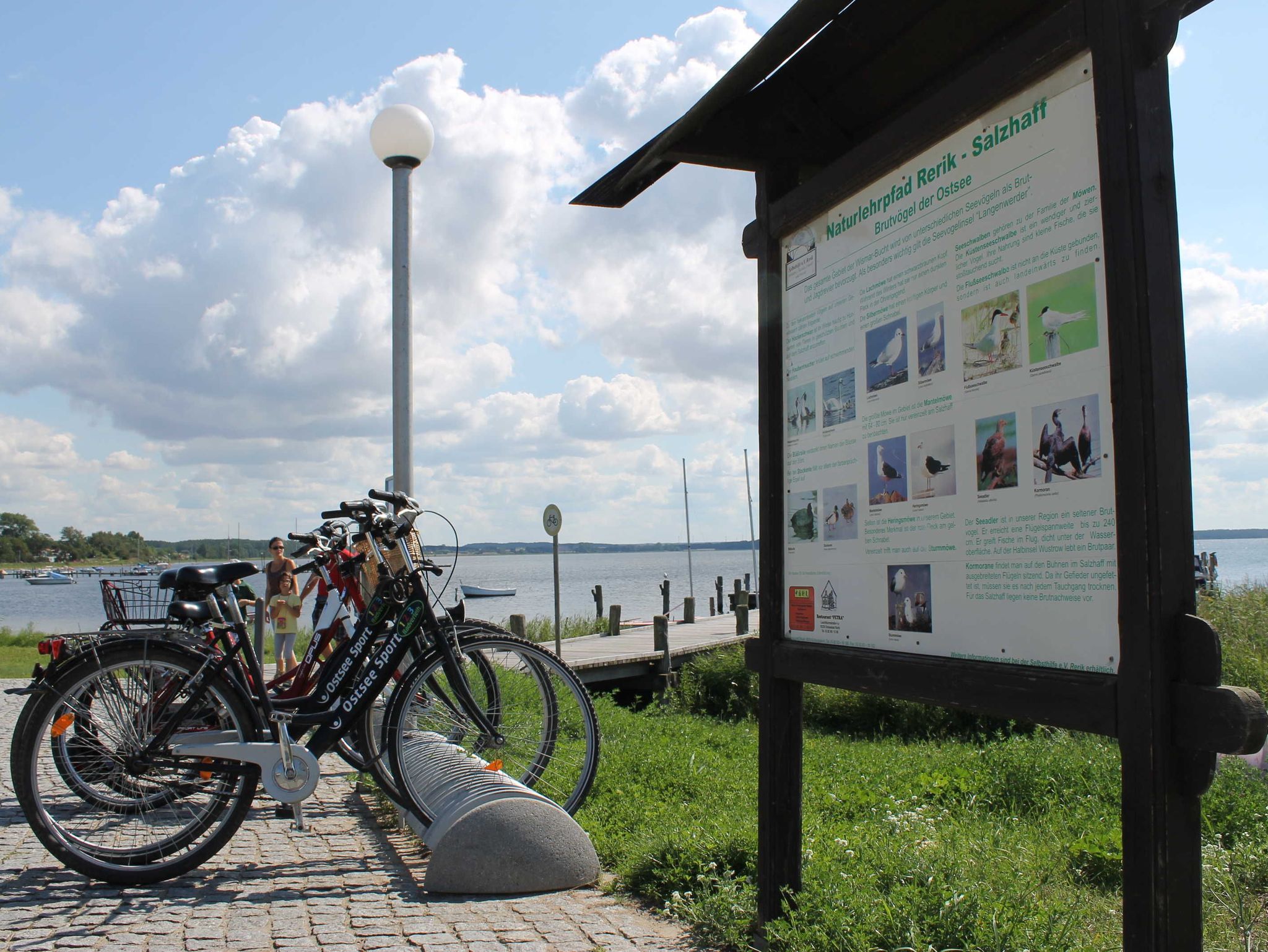 Ostsee-Küsten-Radweg an der Seepromenade Rerik