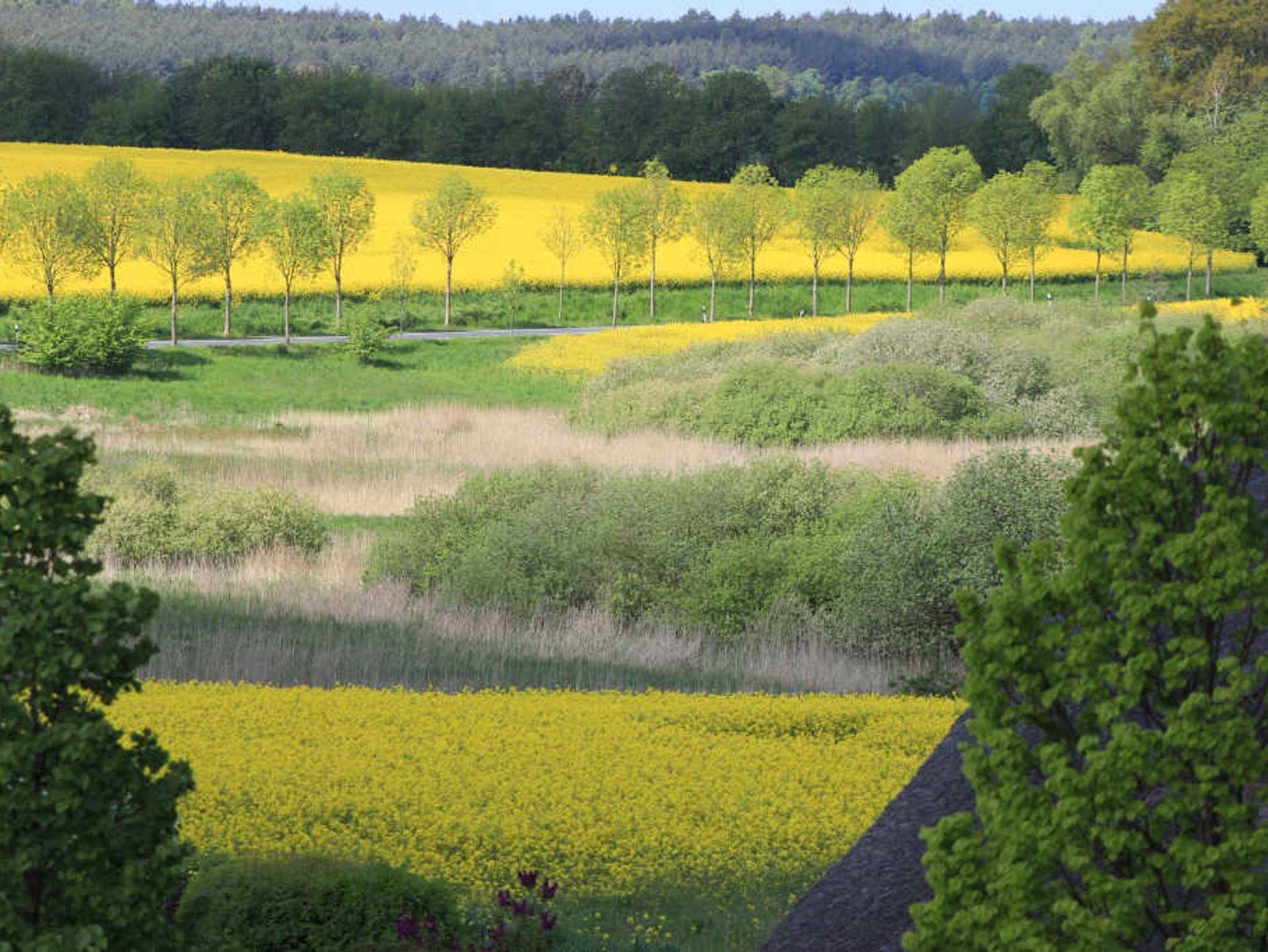 Balkon mit herrlichem Meerblick