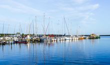 Wellen und Möwen an der Ostsee