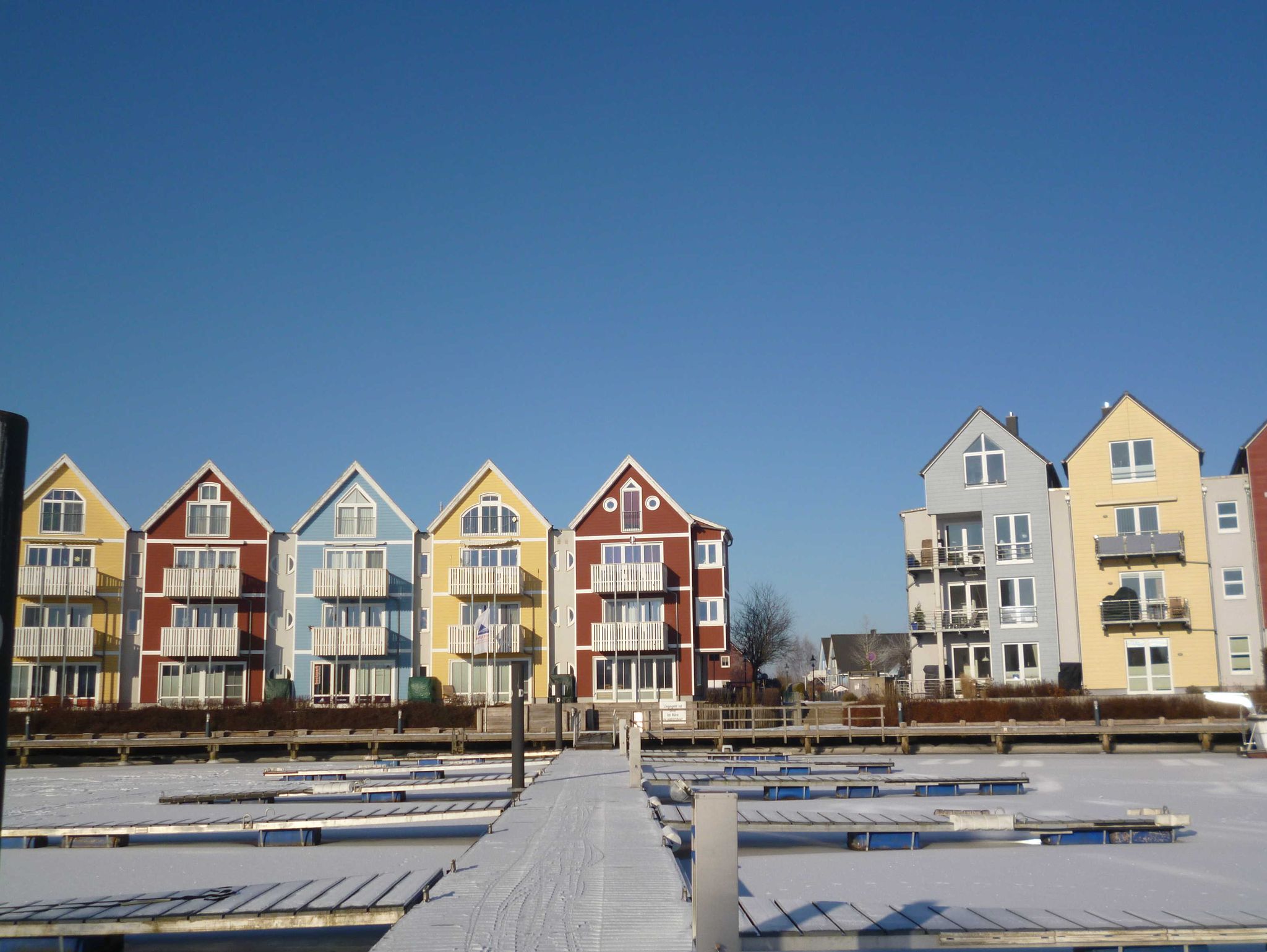 TOP Preis Haustiere u. die Ostsee vor der Tür