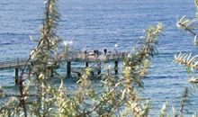 Seebrücke Ostseebad Rerik