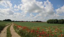 Herrliche Radwege in die Ostseeküstenregion