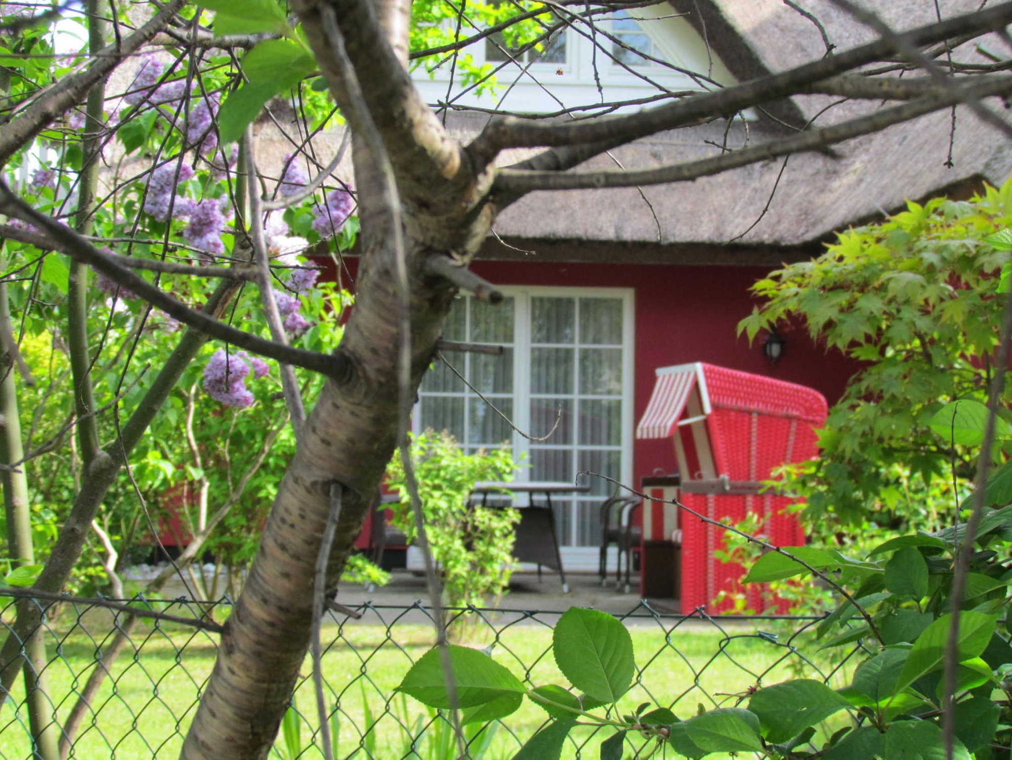 bestuhlte Terrasse mit Garten