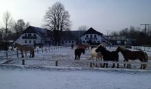 Natur pur - die Weite Mecklenburgs und die frische Seeluft genießen