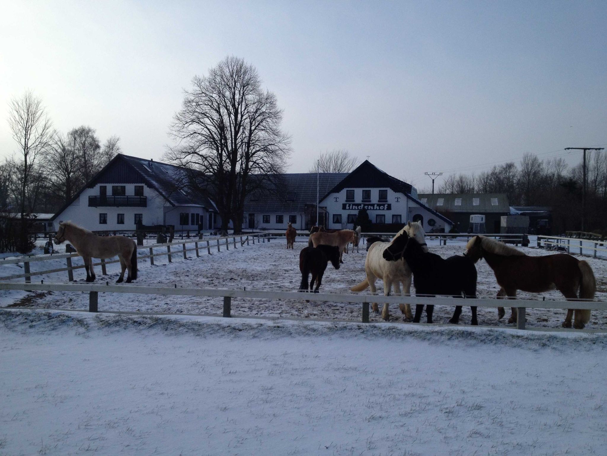 Natur pur - die Weite Mecklenburgs und die frische Seeluft genießen