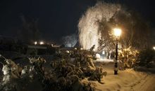 Terrasse/Sitzgelegenheit im Freien