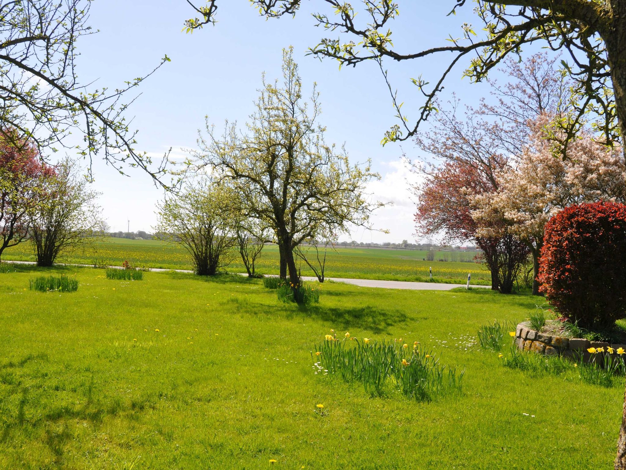 Blumenwiese