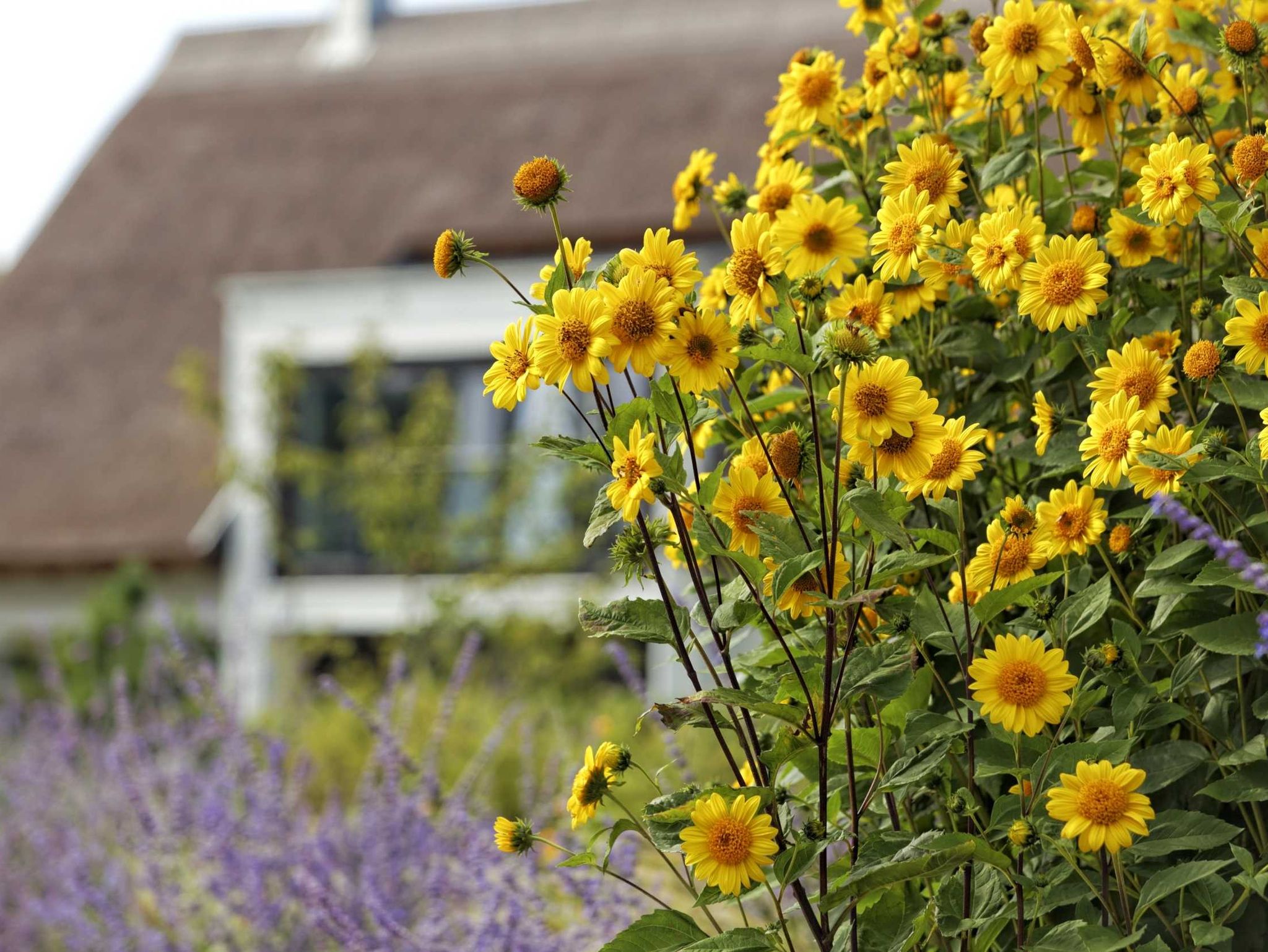 Aussenansicht mit Terrasse