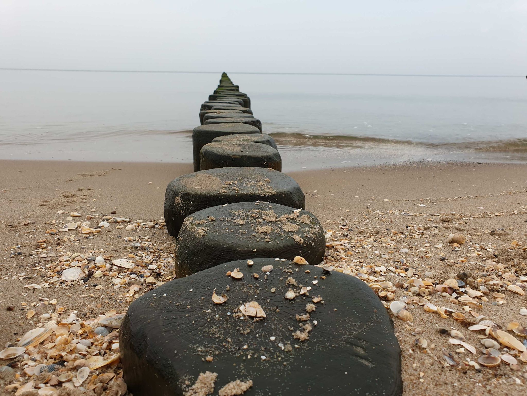 Strand Sandwig