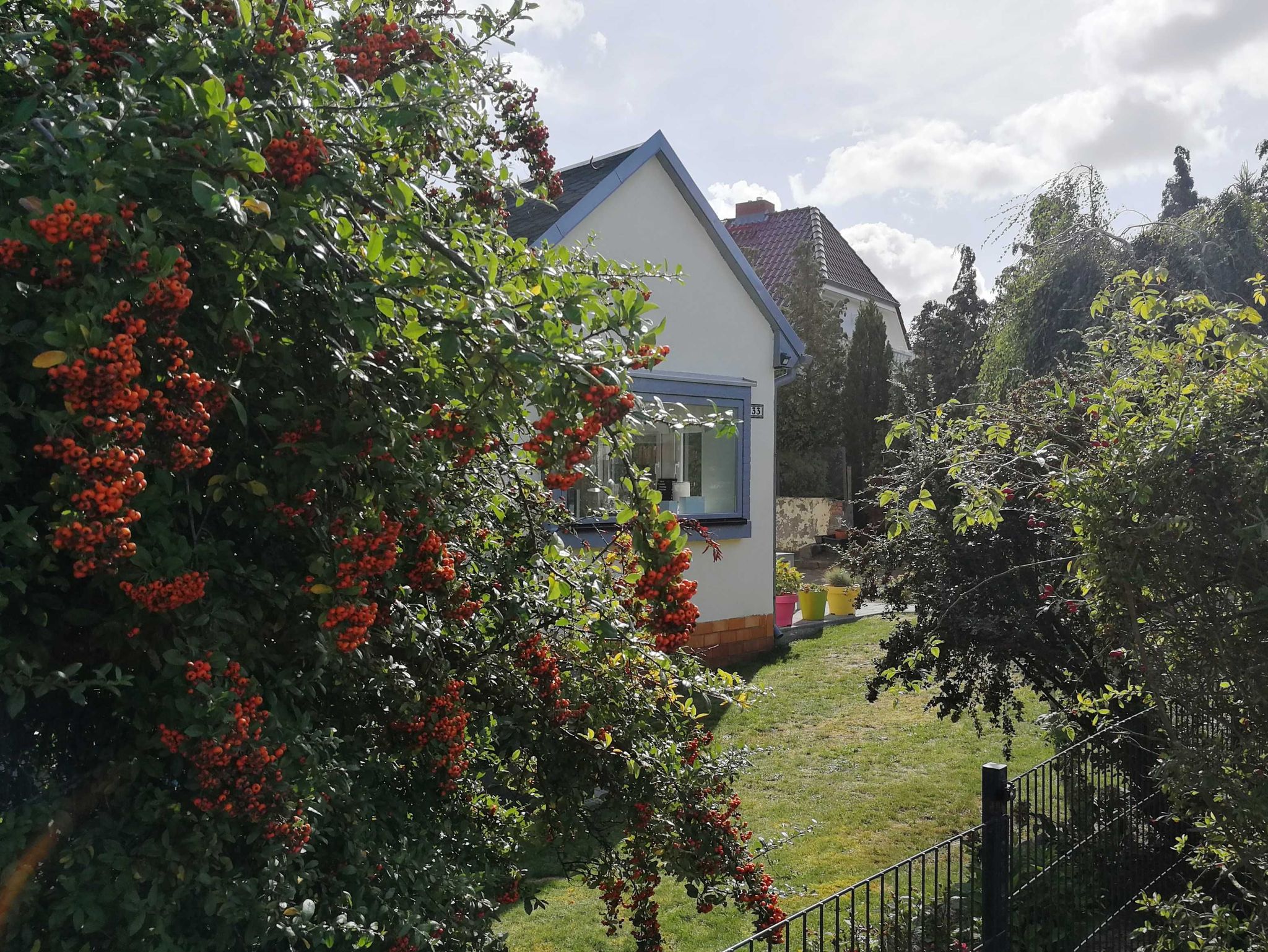 1. Wohnraum mit offener Küche