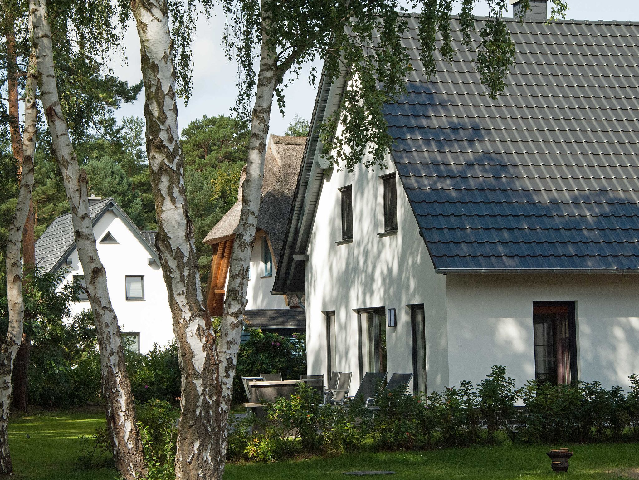 Reetdachhütte im Birkenhain